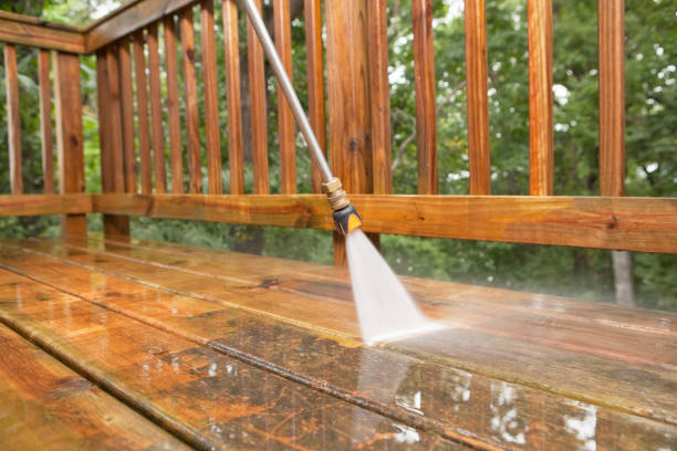 Best Gutter Cleaning  in Cottonwood, AL